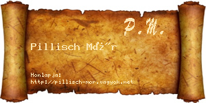 Pillisch Mór névjegykártya